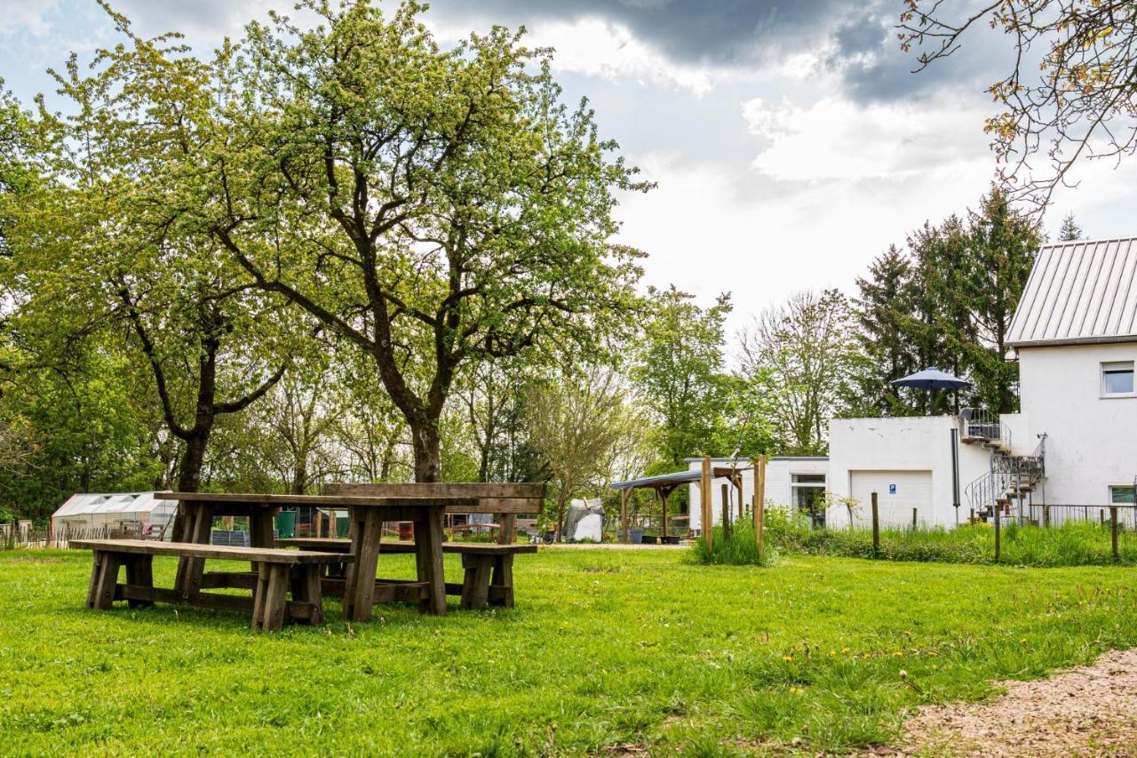 Eifel-Apartments Orsfeld Extérieur photo