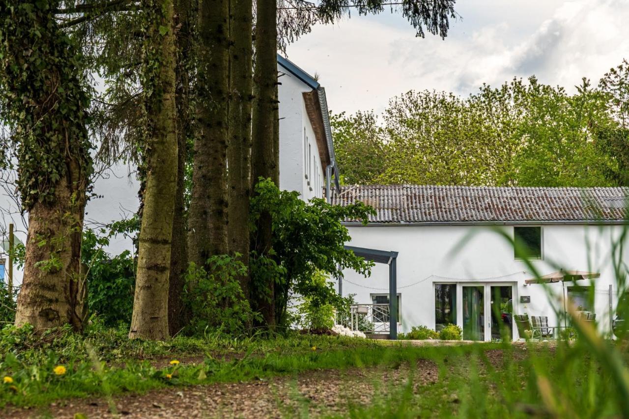 Eifel-Apartments Orsfeld Extérieur photo